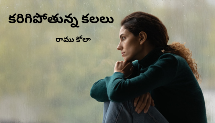 TeluguIsm - Dissolving the Dreams :