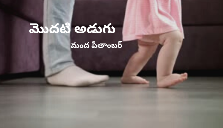 TeluguIsm - First Step