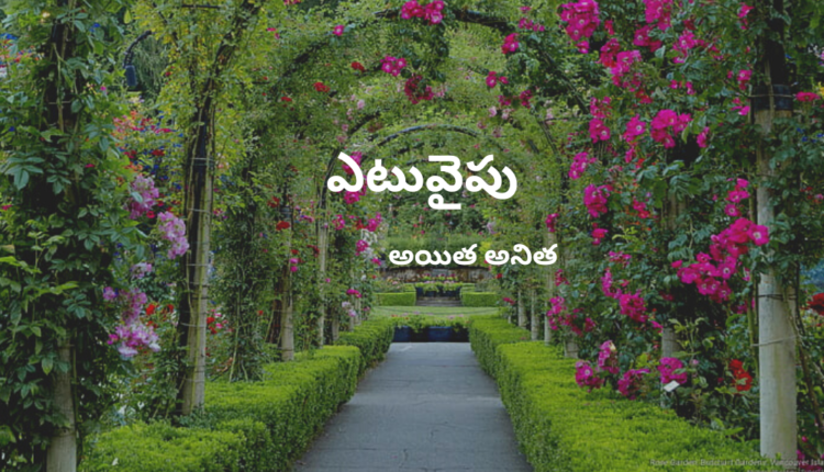 TeluguIsm - Which Side