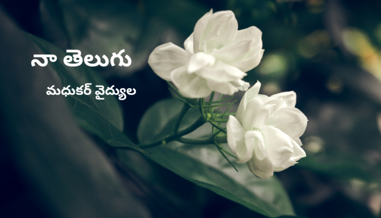 TeluguIsm - Poem